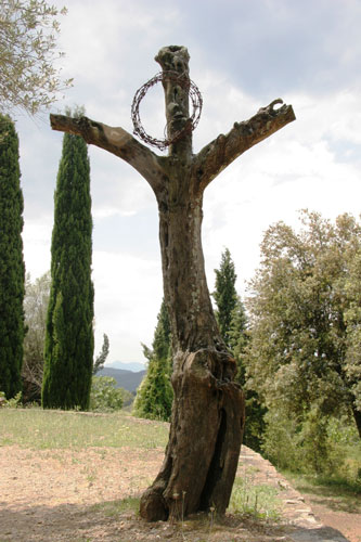 Crucifix-Tree.jpg