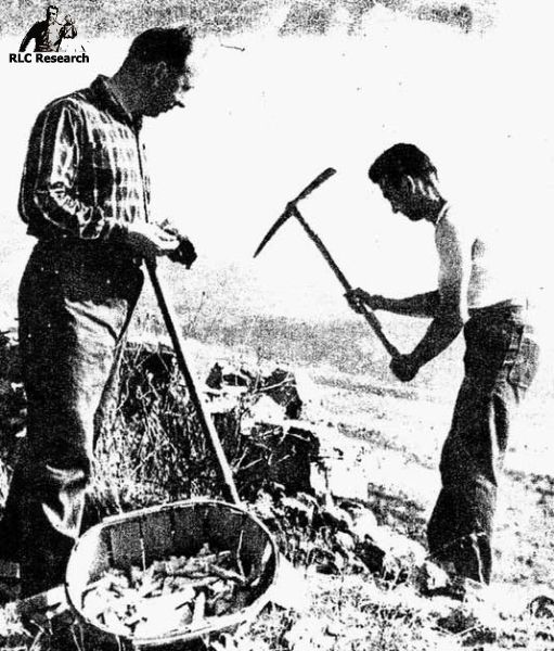 Noel Corbu treasure hunting